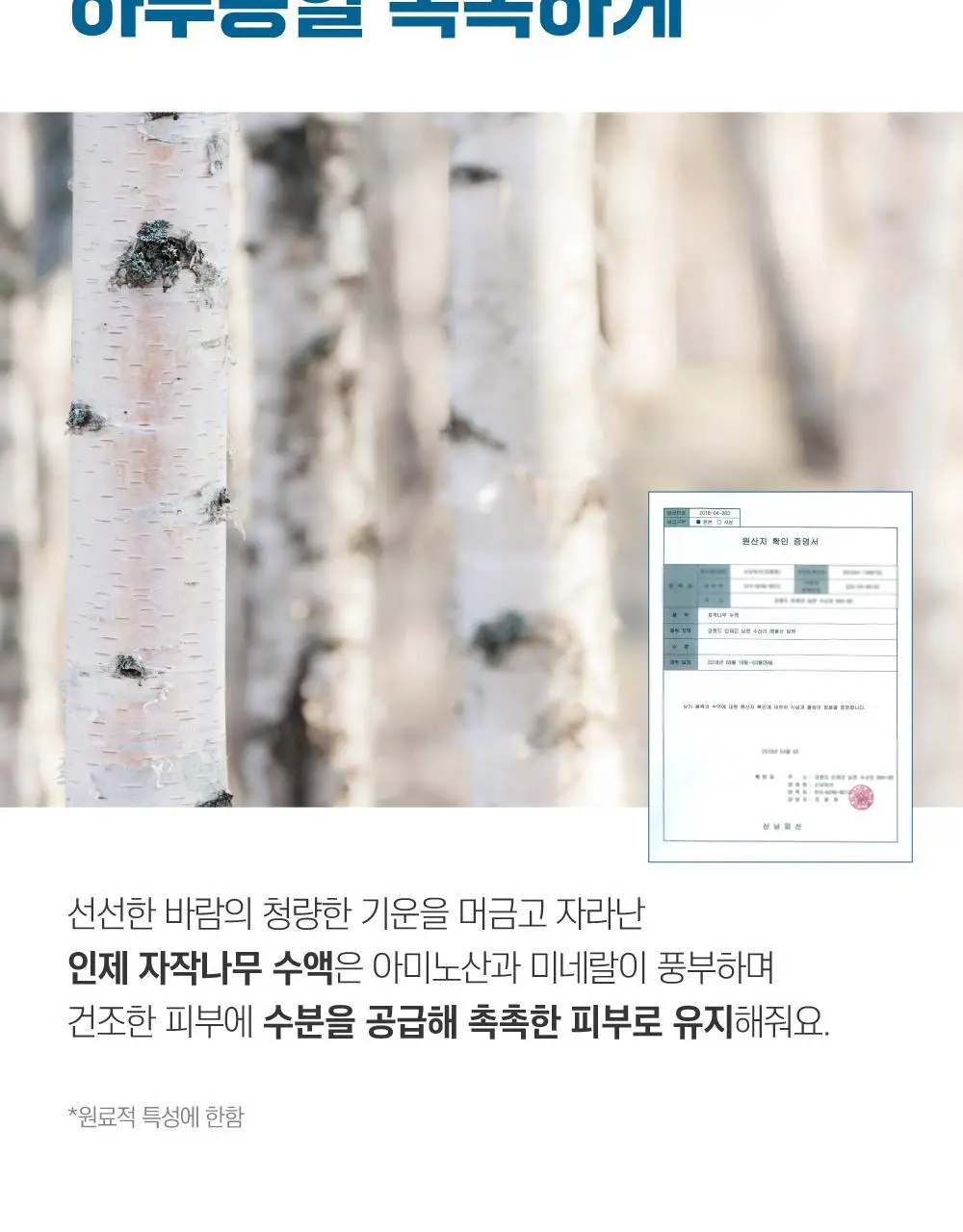 [빅사이즈/저자극] 라운드랩 자작나무 수분 클렌징 패드 60매 상세페이지 9